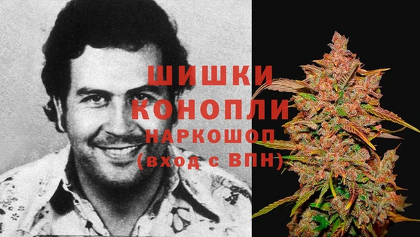 прущие крисы Абинск