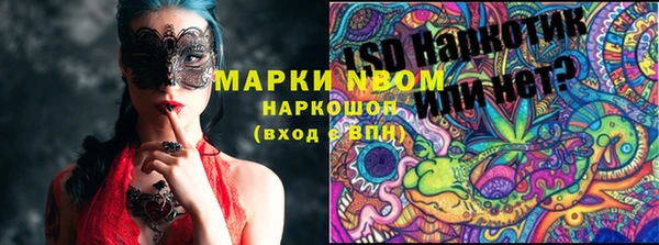 тгк Абаза