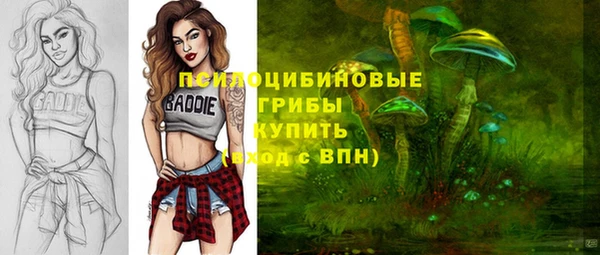 прущие крисы Абинск